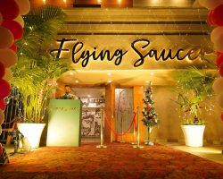 Flying Saucer Jhansi